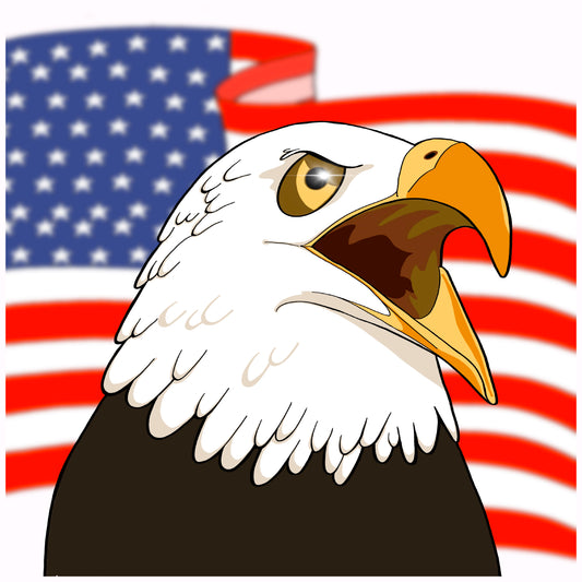 American Eagle Short Sleeved TShirt