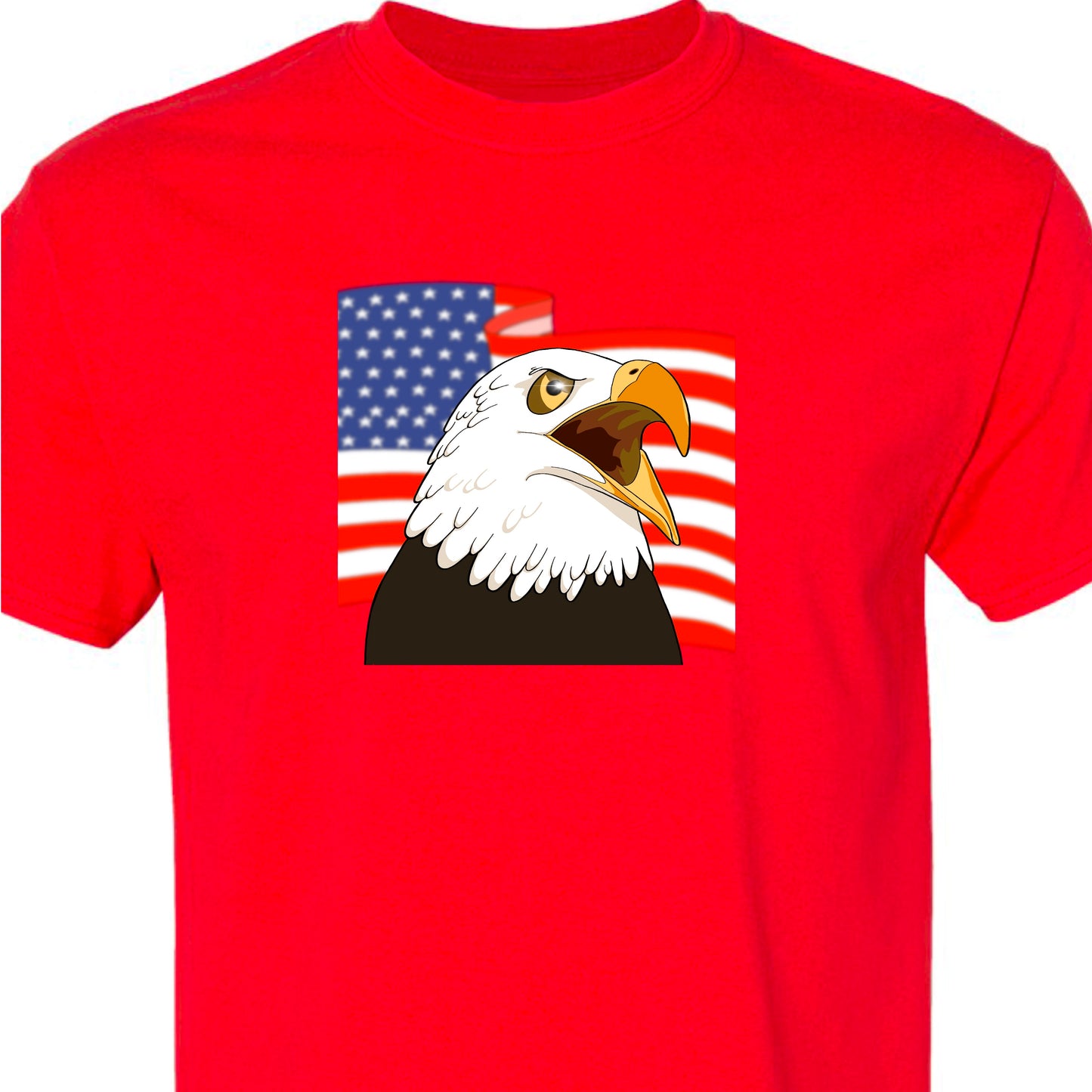 American Eagle Short Sleeved TShirt