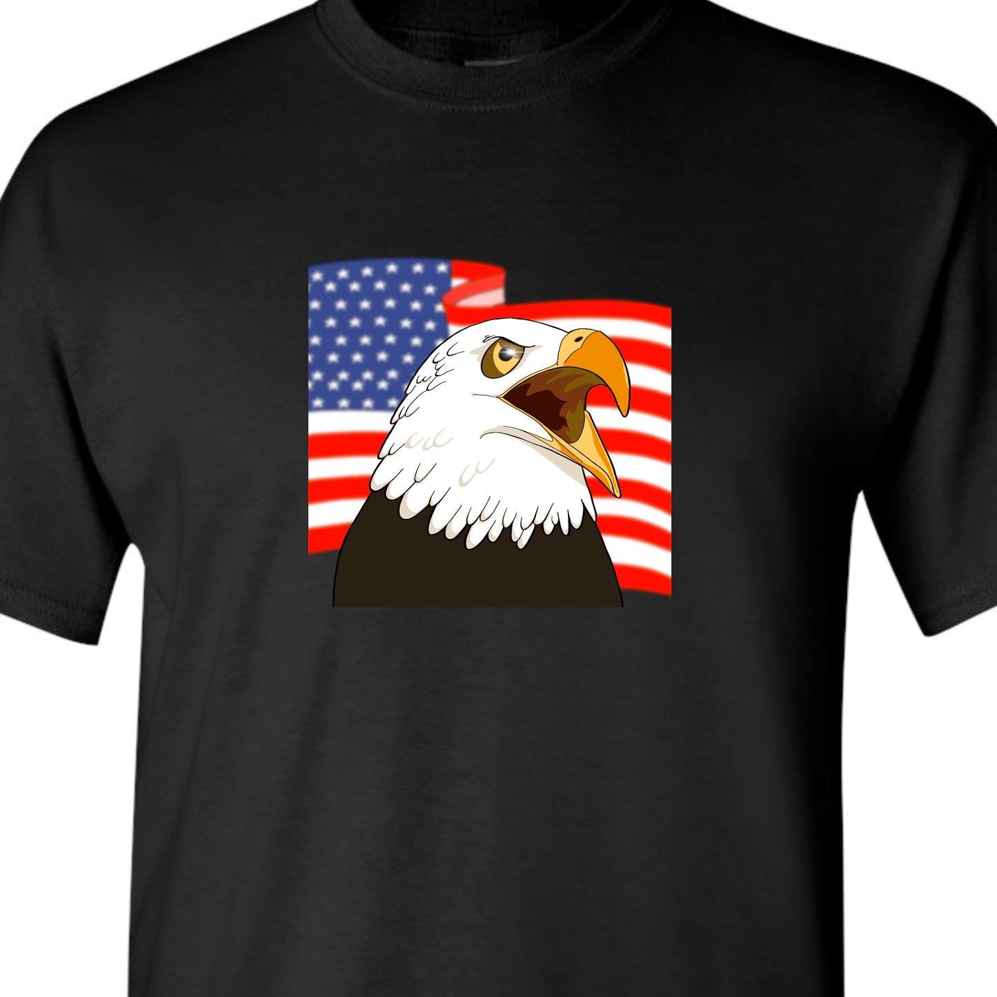 American Eagle Short Sleeved TShirt