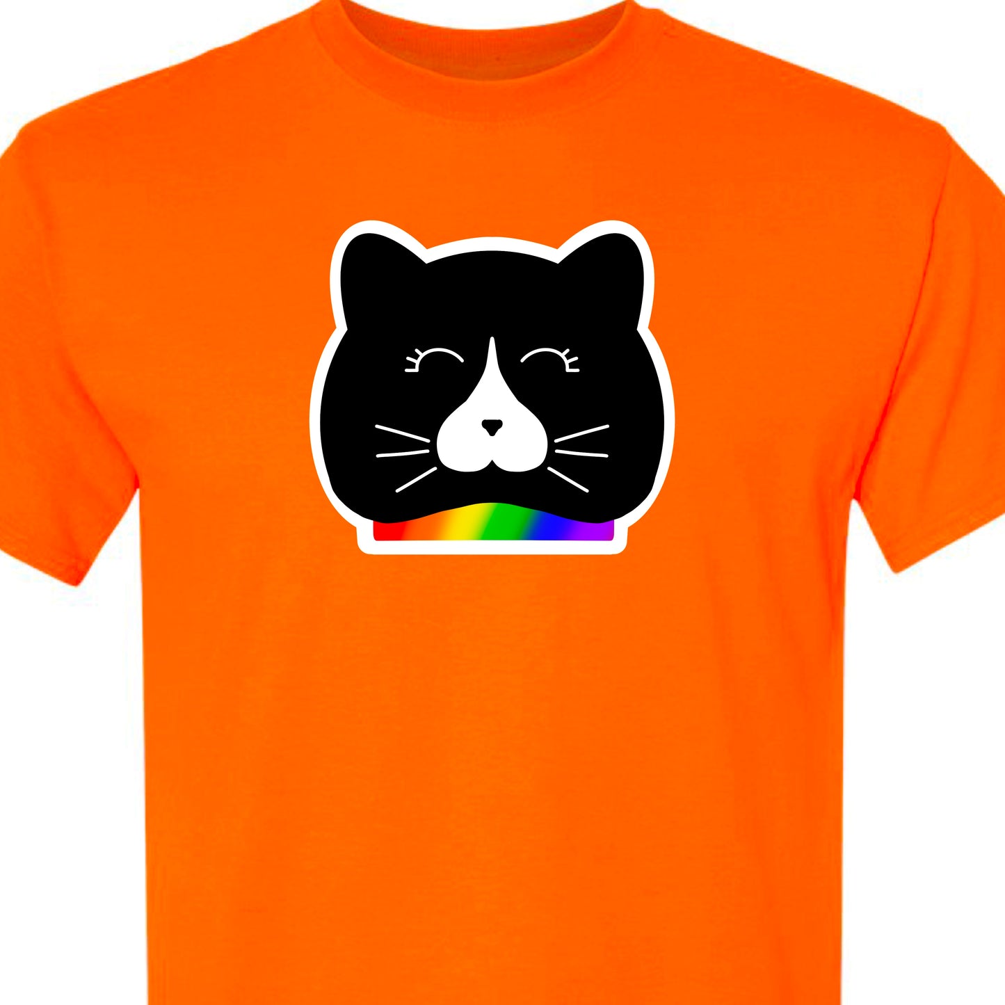 Rainbow Tuxedo Cat Short Sleeved TShirt